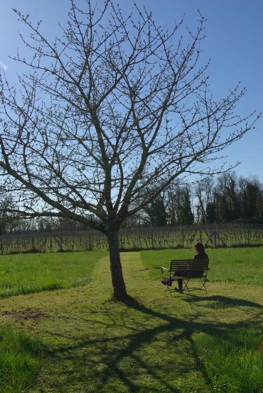 Domaine De Bel Air Carpe Diem